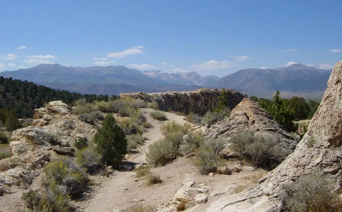 Trail across travertine ridges and sagebrush with the Sierra Nevada beyond at Travertine Hot Springs