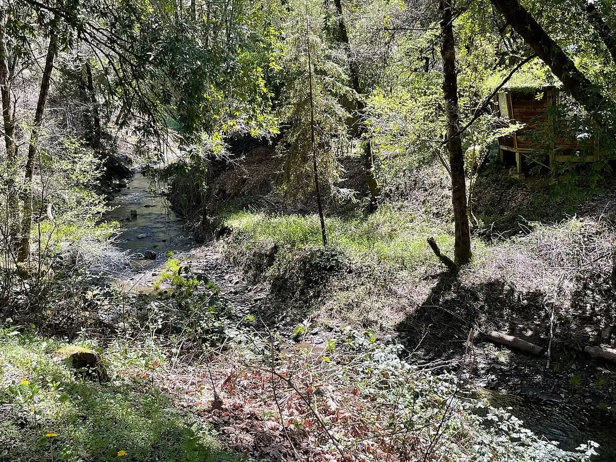 South Fork Big River flowing through sunlit woods beside a small cabin at Orr Hot Springs