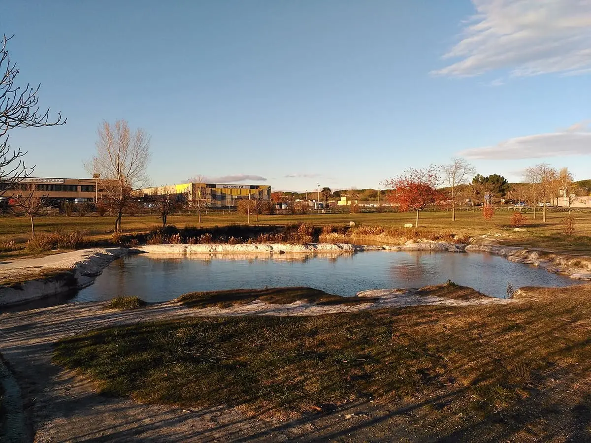 Thermal pools at Piscine Carletti in low evening light with bare trees behind