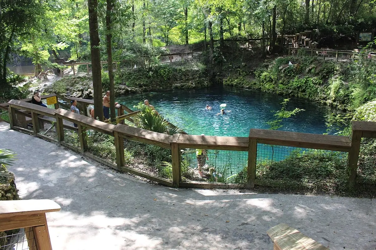 Madison Blue Spring seen from a fenced overlook path under tall forest trees
