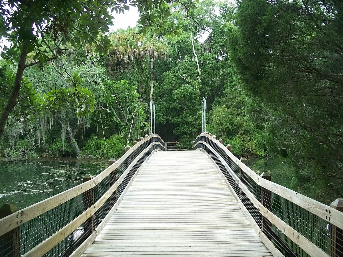 Wooden footbridge crossing water in Homosassa Springs Wildlife State Park under tall trees