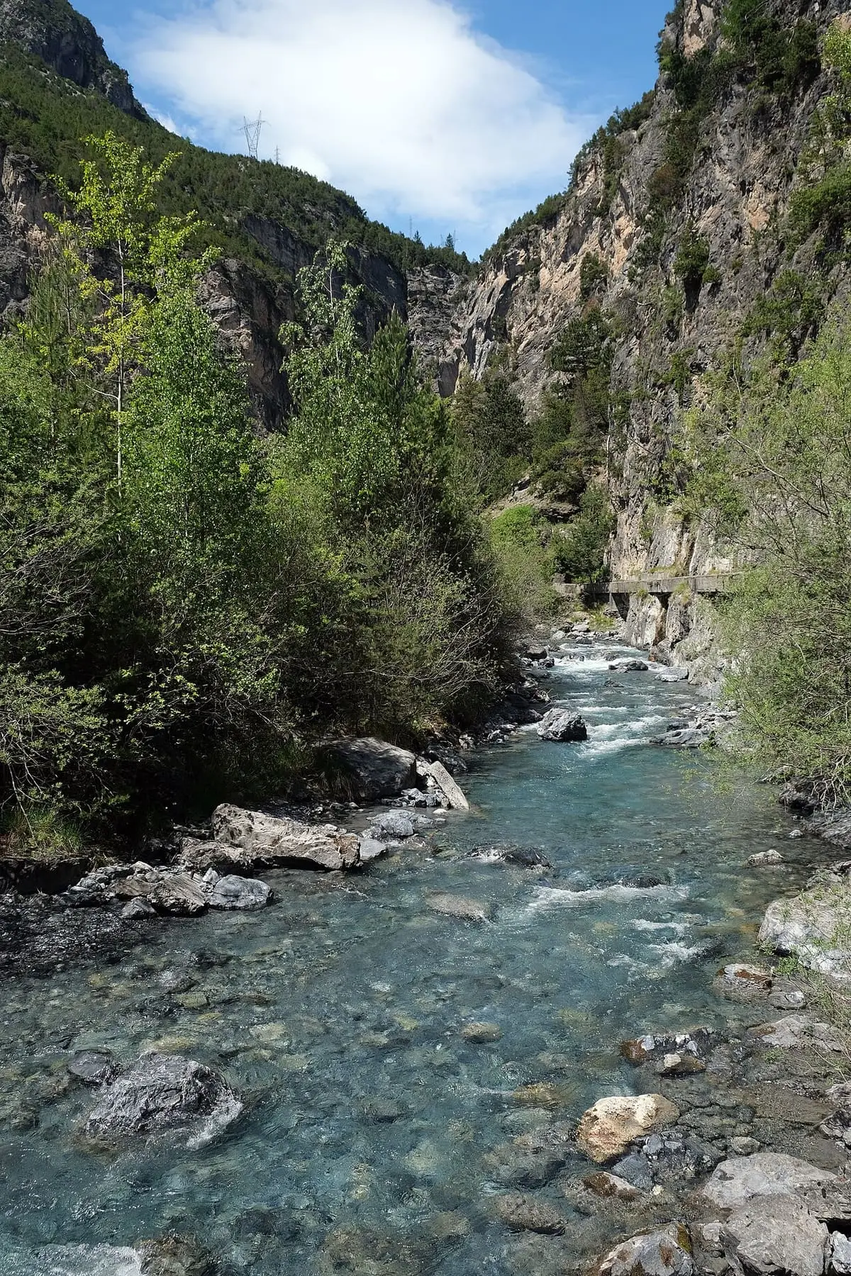 Clear Braulio stream running between rocky wooded slopes near the Pozza di Leonardo