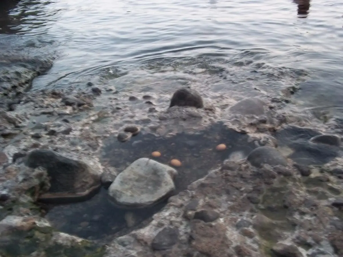 Clear warm water over dark volcanic rocks in a shallow pool at Sorgeto