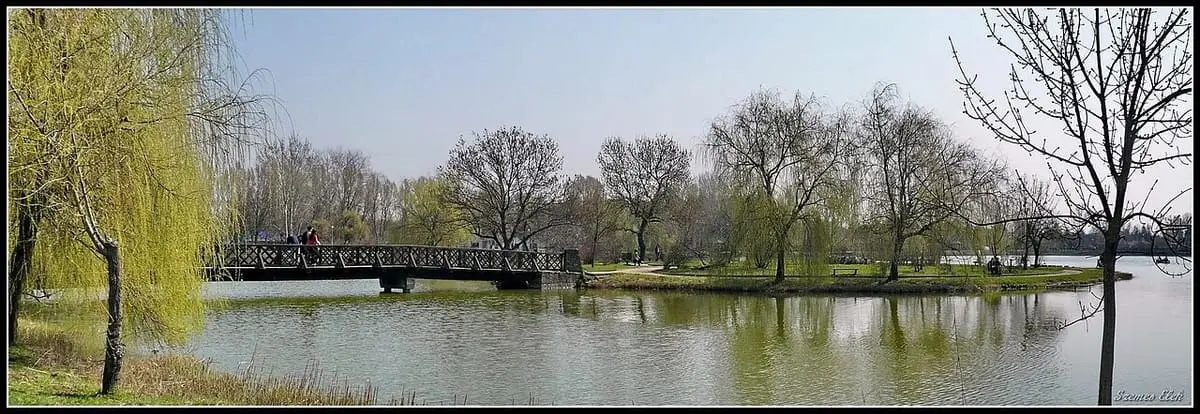 Willows and a wooden footbridge across Sóstó lake near the Aquarius bath