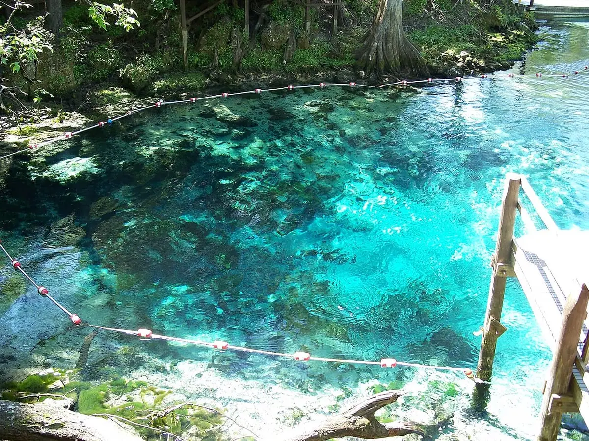 Clear blue Fanning Springs boil with a rope line and wooden ladder at the edge