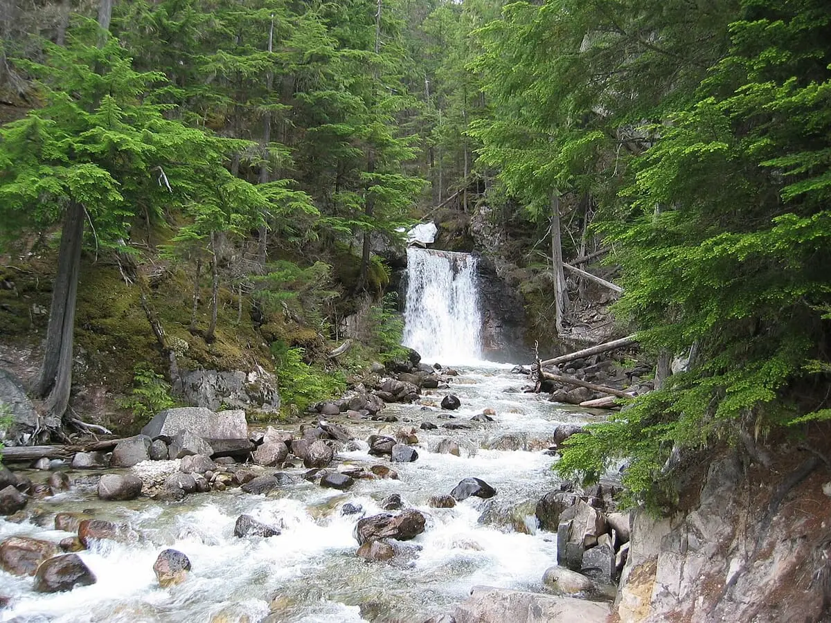Small waterfall over mossy boulders along the road to Nakusp Hot Springs