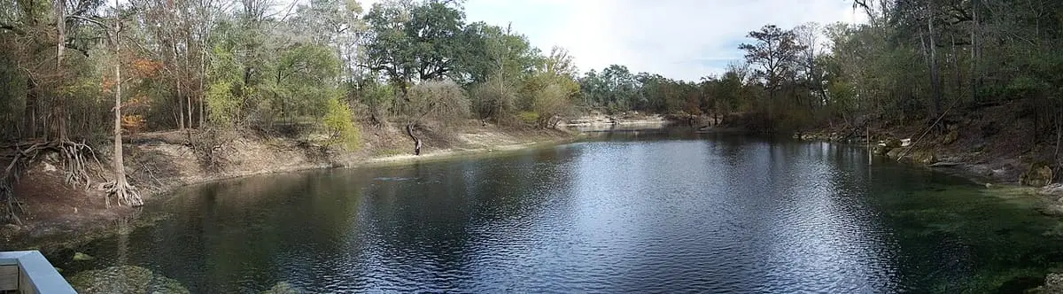 Panorama of the Troy Spring basin and run flowing toward the Suwannee River under trees