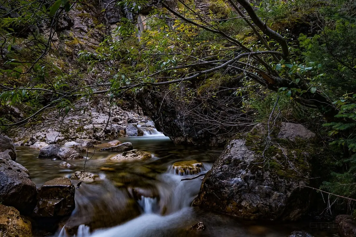 Hot spring water cascading over rocks at the source of Miette Hot Springs