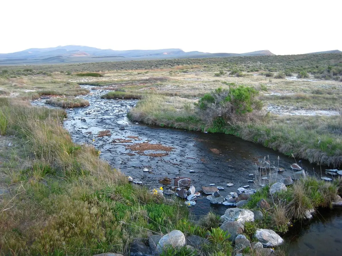 Clear hot creek winding over stones through green meadow at Soldier Meadows Hot Springs