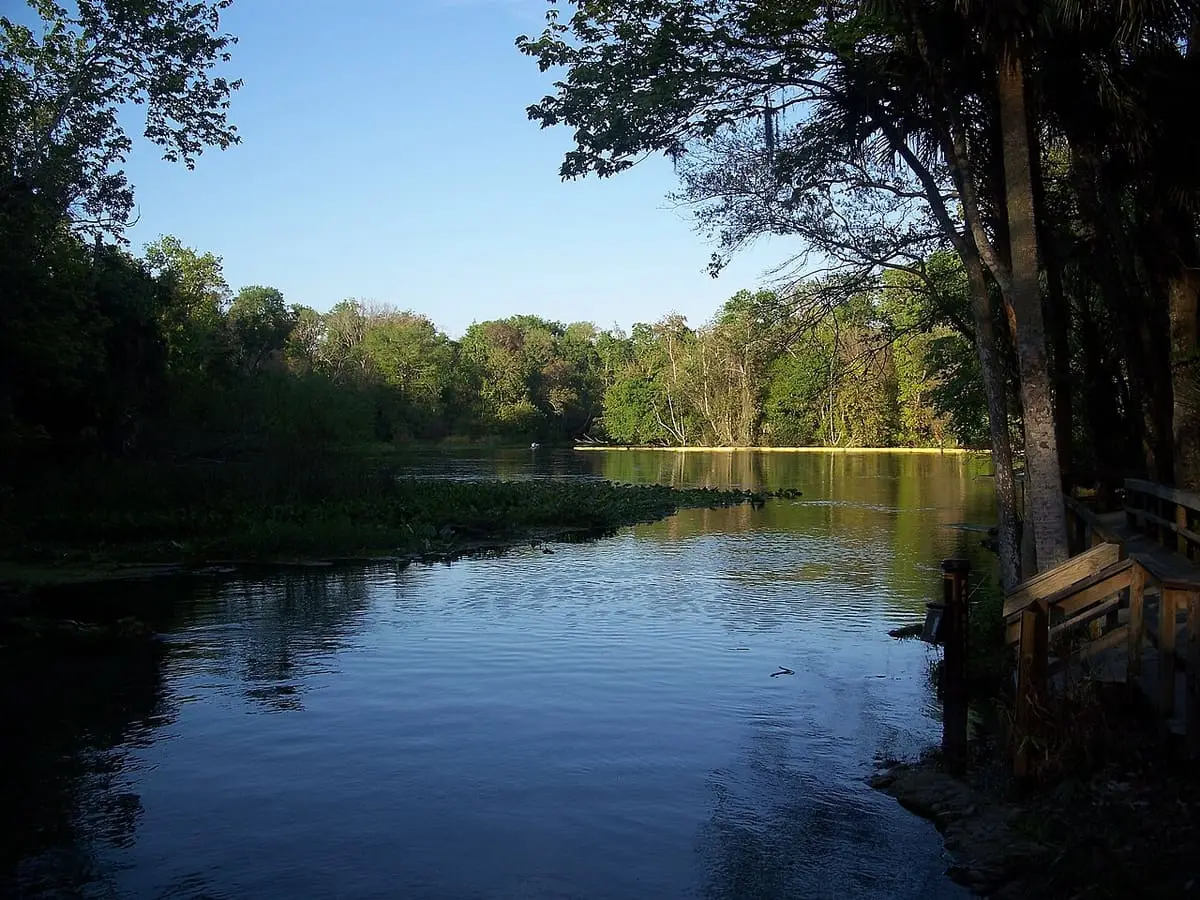 Calm blue outflow from Wekiwa Springs reflecting trees along the shoreline