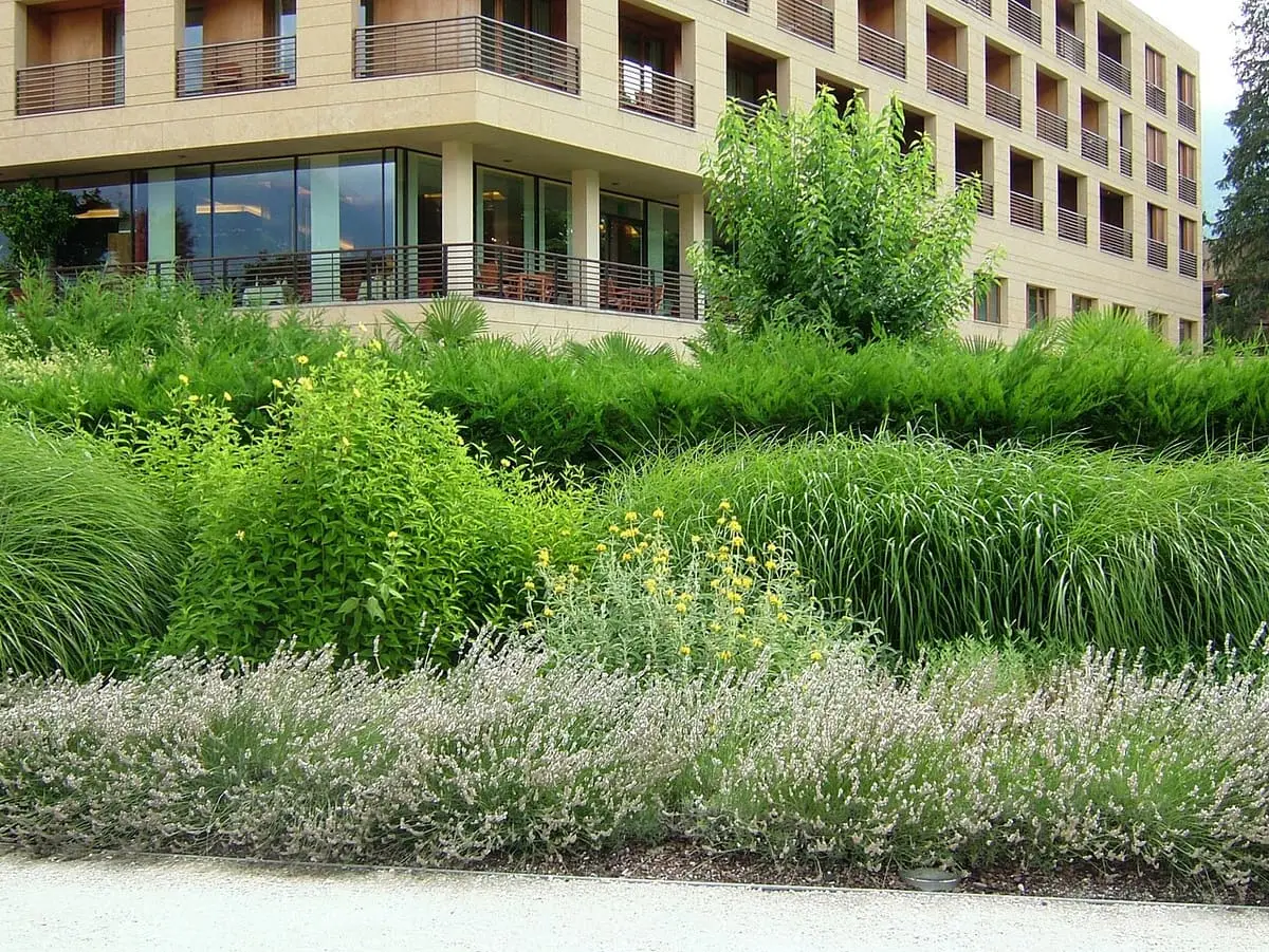 Planted grasses and lavender in the Therme Meran park in front of the hotel