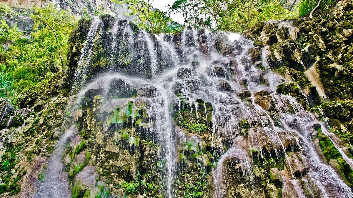 Warm water cascading over mossy mineral rock formations at the Tolantongo waterfall