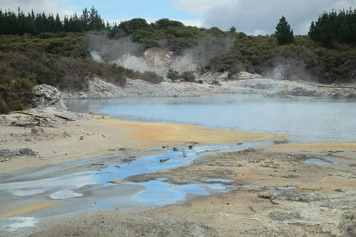 Steaming hot lakes with pale mineral crusts and bush beyond at Hell's Gate, Tikitere