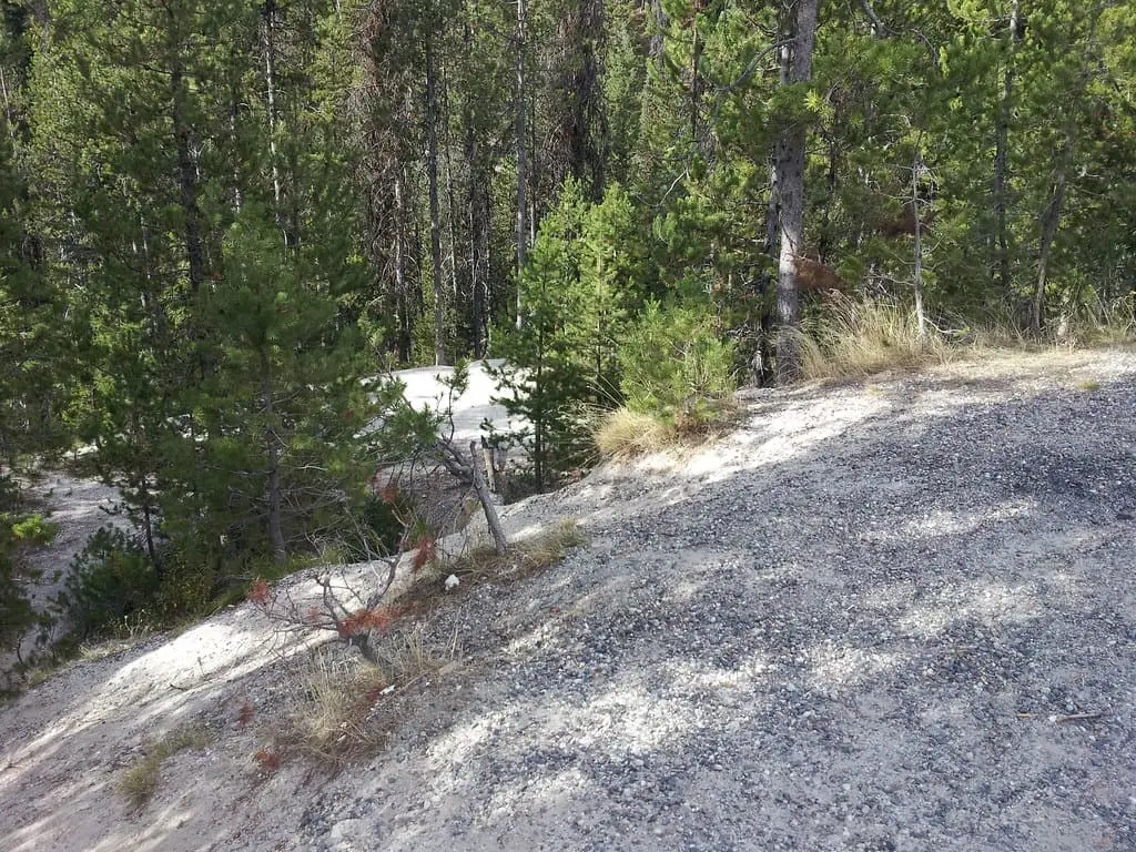 Steep gravel slope through pine forest at the top of the trail to Trail Creek Hot Springs