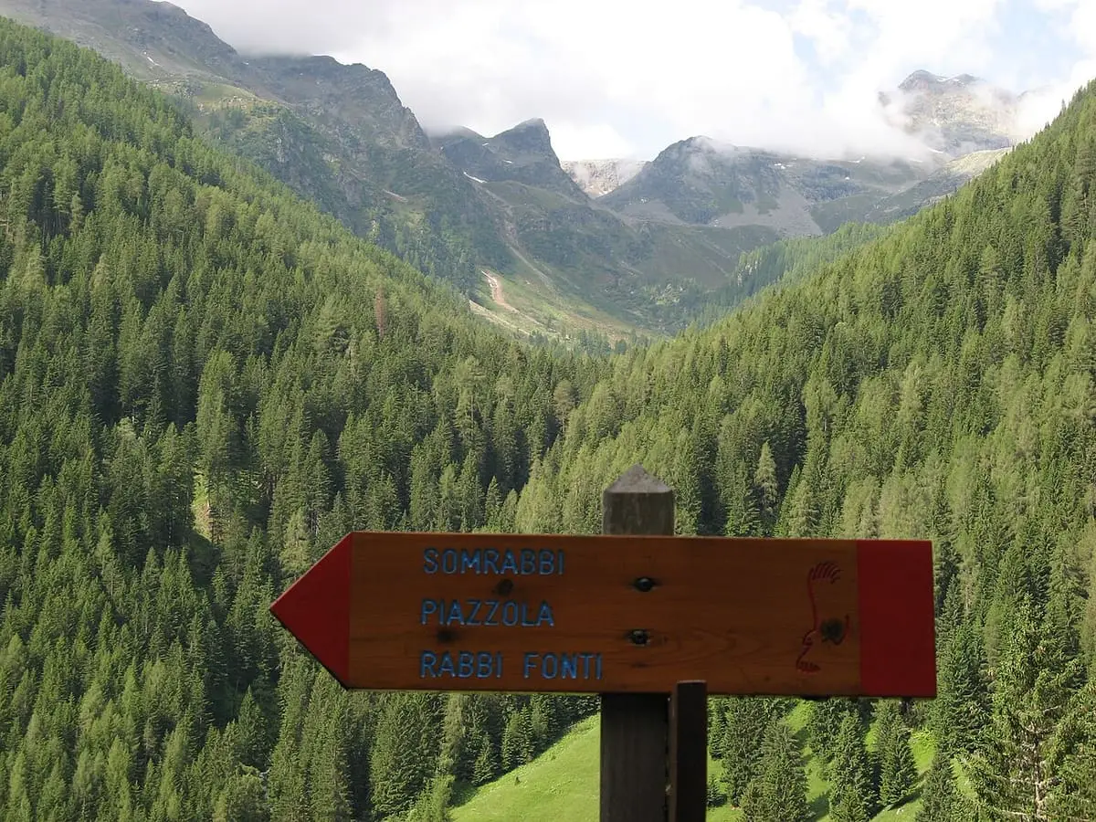 Wooden trail sign pointing to Rabbi Fonti above a forested valley in Stelvio National Park