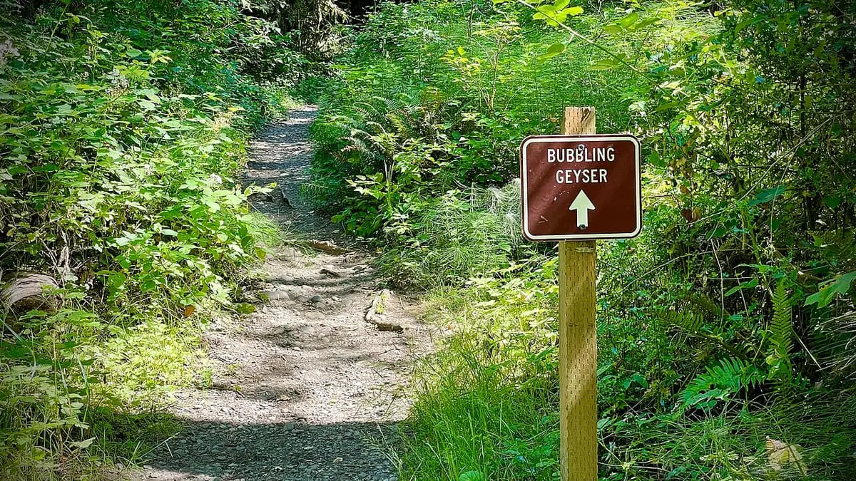 Forest trail with a sign pointing toward the Bubbling Geyser at Flaming Geyser State Park