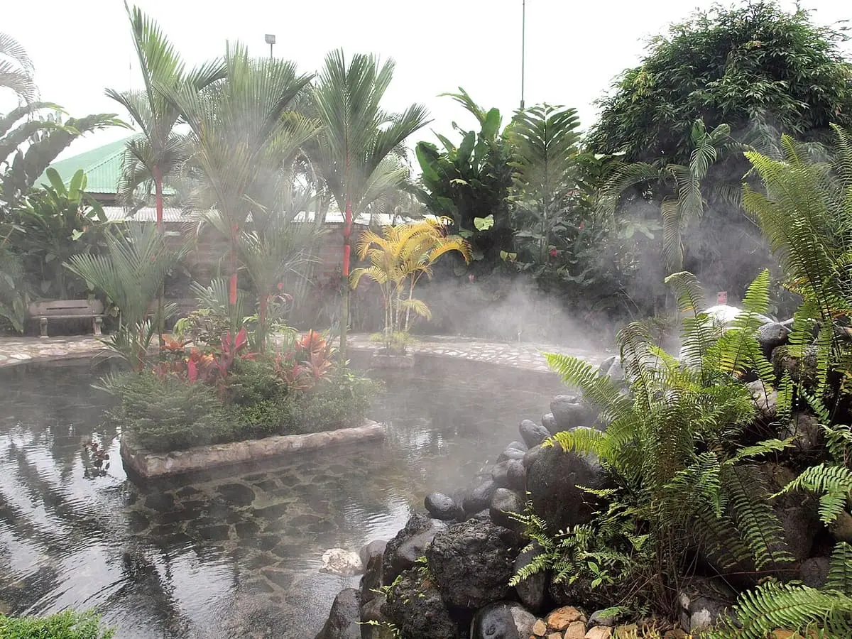 Steam rising off a thermal pool surrounded by palms and ferns at Baldi Hot Springs