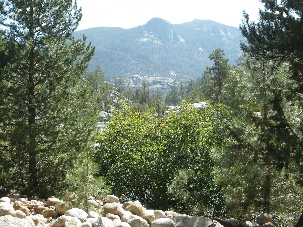 Pine forest and granite peaks above the Mono Hot Springs area in the Sierra National Forest