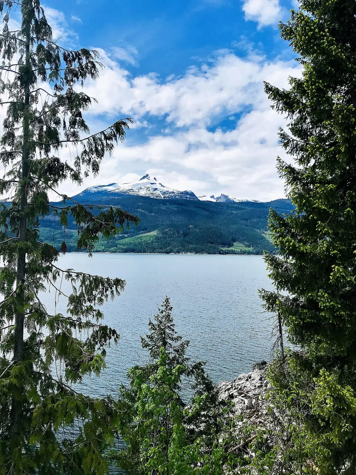 Upper Arrow Lake and snowy peaks framed by evergreens near Halcyon Hot Springs
