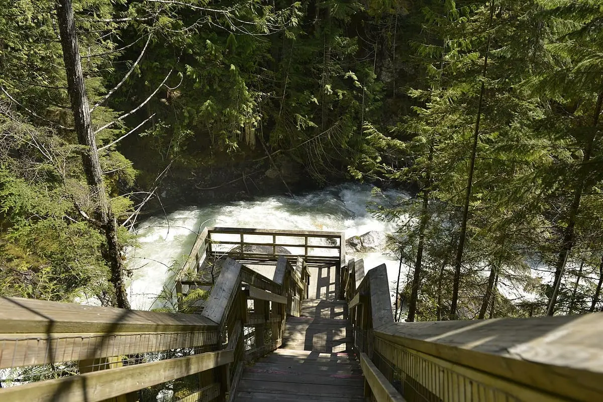 Wooden stairs and viewing platform leading down toward the rushing Crazy Creek