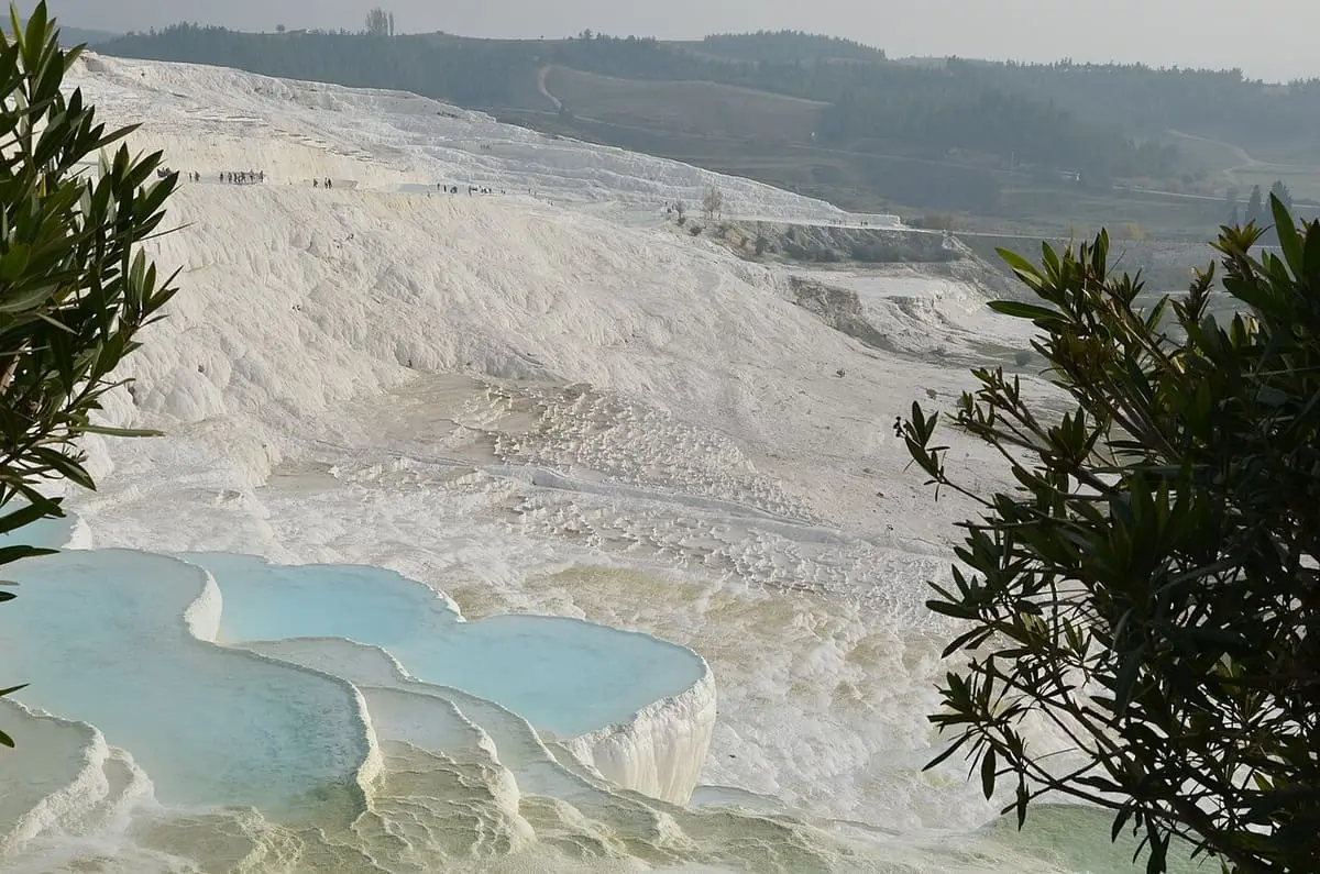 Turquoise pools set into the white Pamukkale travertine slope framed by green shrubs