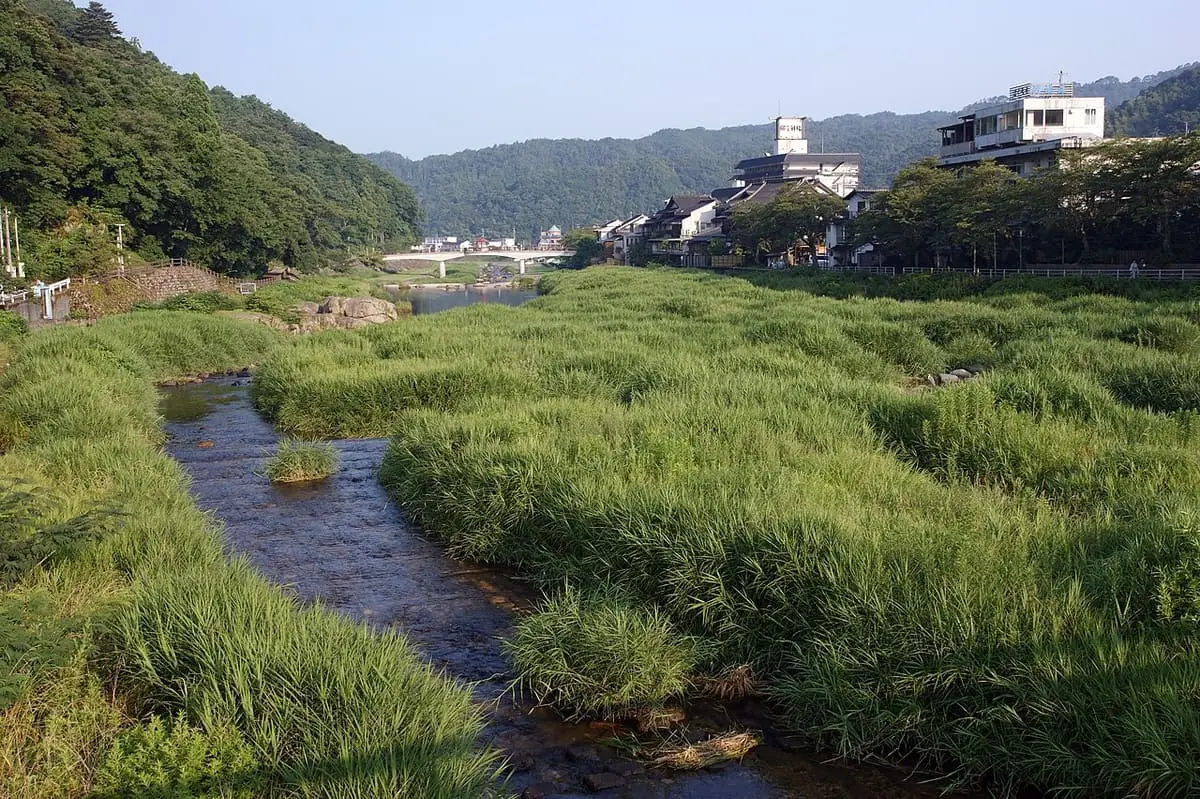 Mitoku River with grassy islands flowing toward the hotels of Misasa Onsen