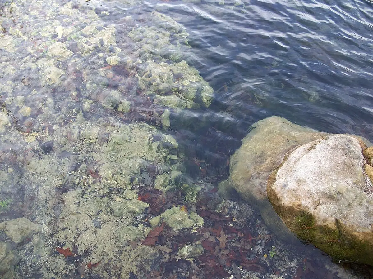 Limestone rocks and plants visible through the clear water at Troy Spring