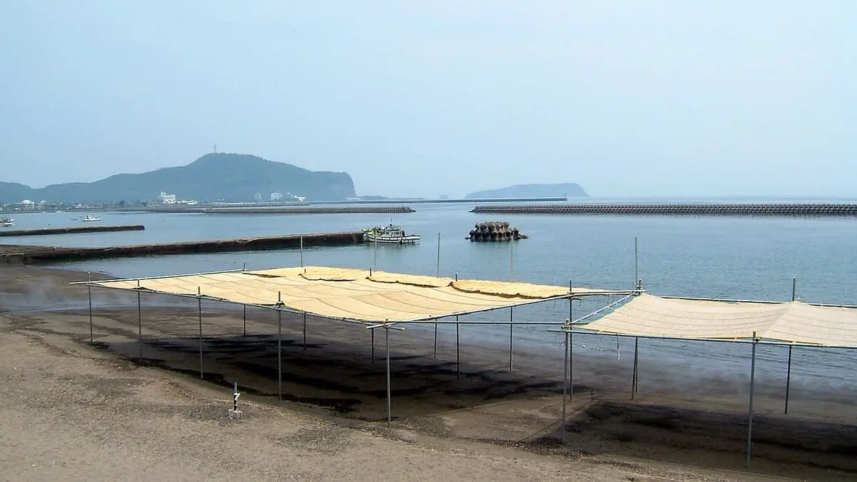 Shade canopies over the sand bath area on the Ibusuki beach beside the bay