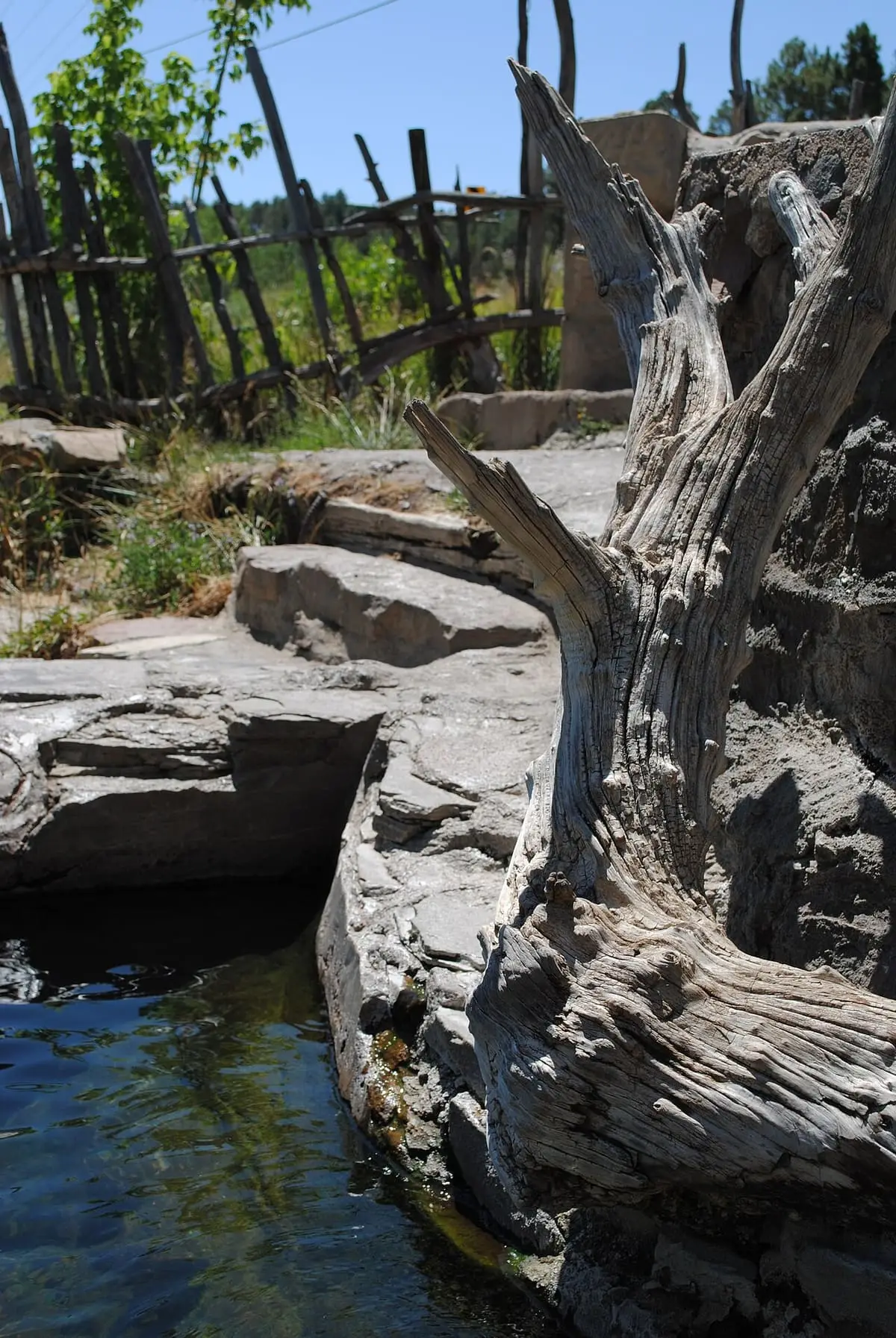 Clear pool beside weathered driftwood and a rustic wooden fence at Montezuma Hot Springs