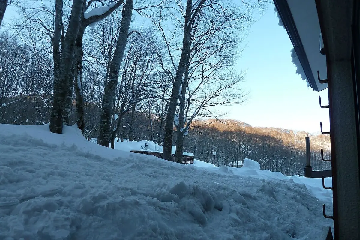 Deep snow and bare beech trees seen from a room at Kyukamura Nyuto Onsenkyo