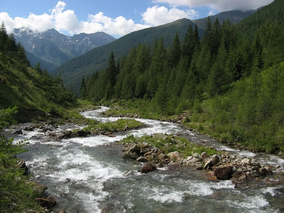 Rocky mountain stream running through pine forest in the valley near Terme di Rabbi
