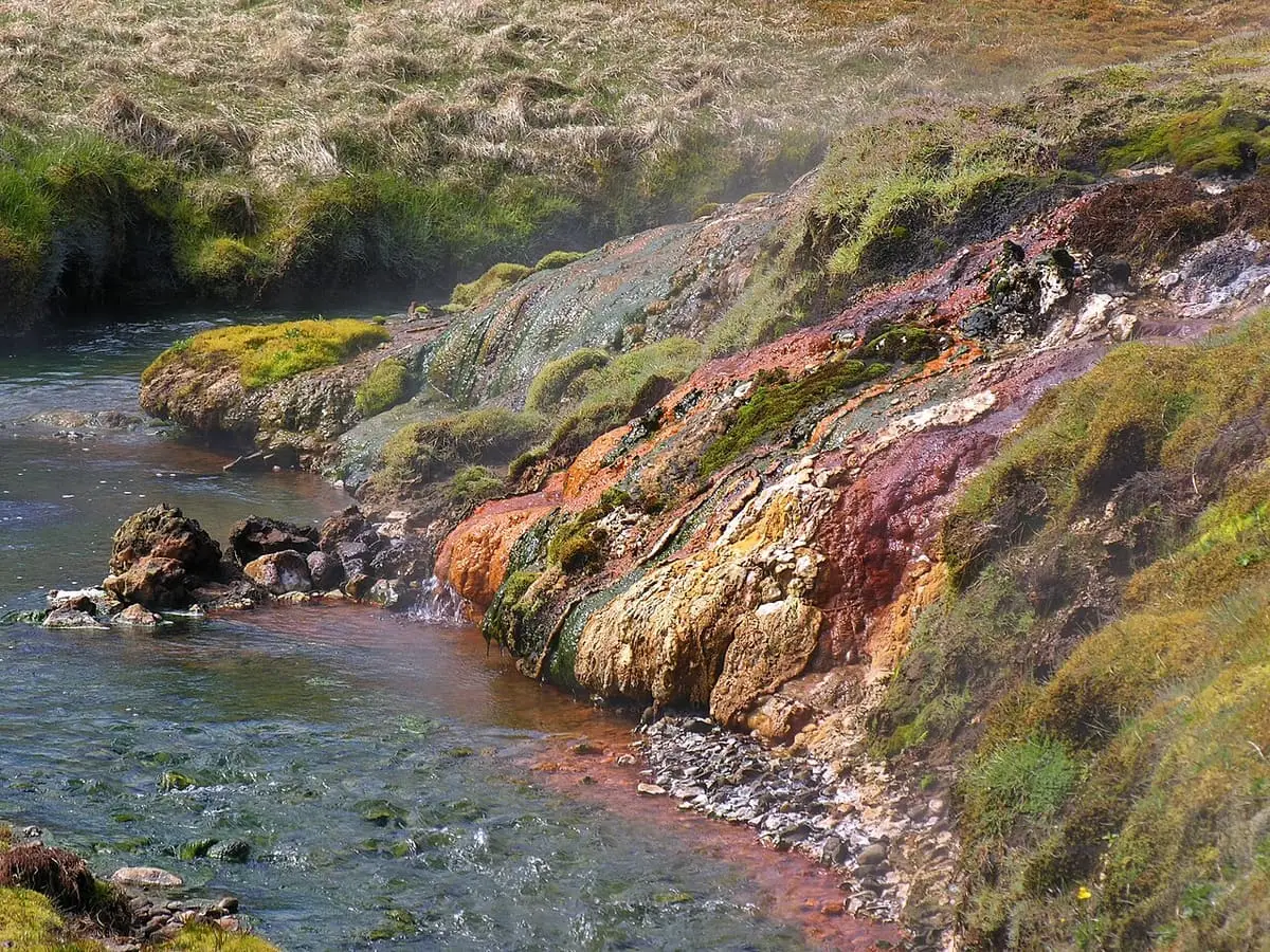 Colourful mineral crusts and moss along the edge of the warm Reykjadalur stream