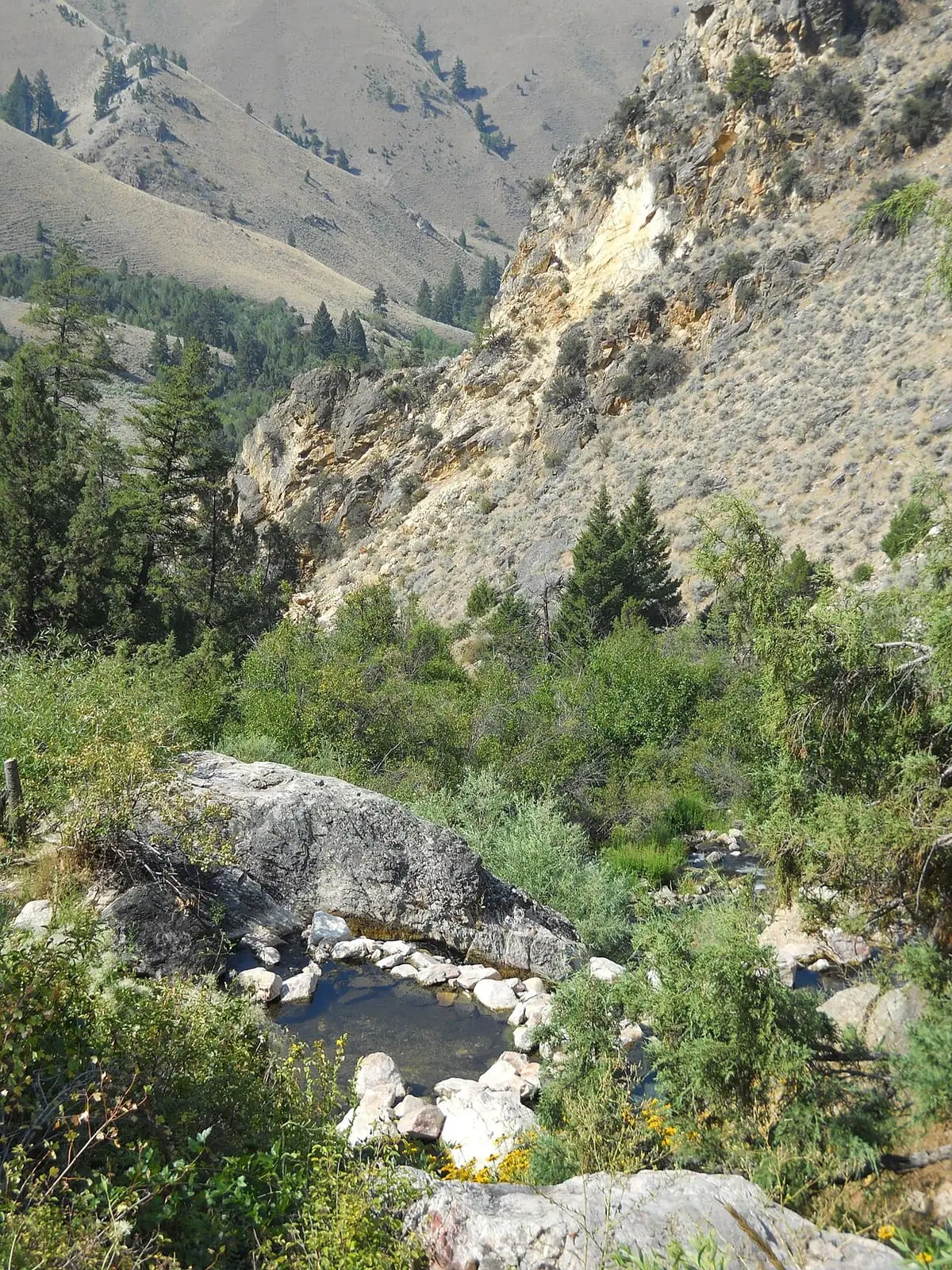 Small rock-lined pool among green shrubs looking down the Warm Spring Creek canyon at Goldbug