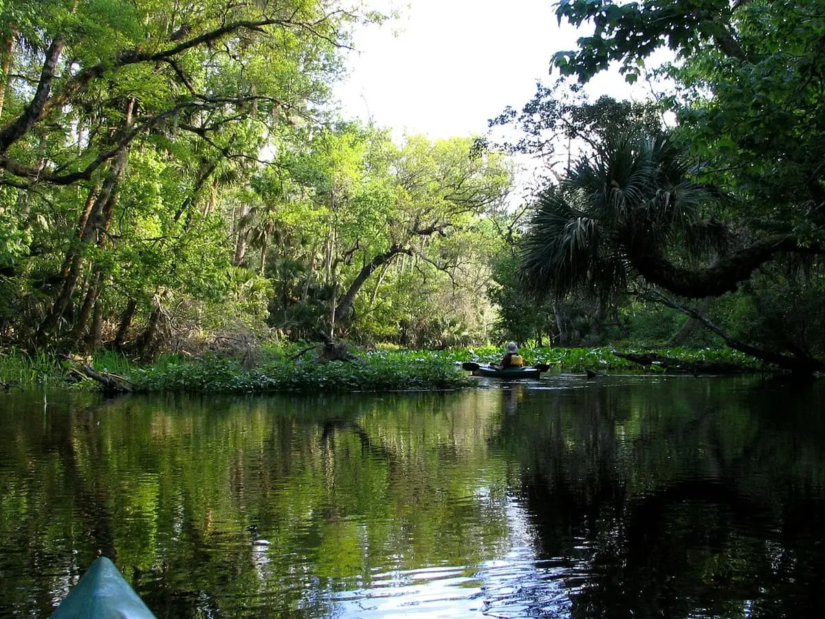 Wekiwa Run near Wekiwa Spring with still water reflecting the surrounding forest
