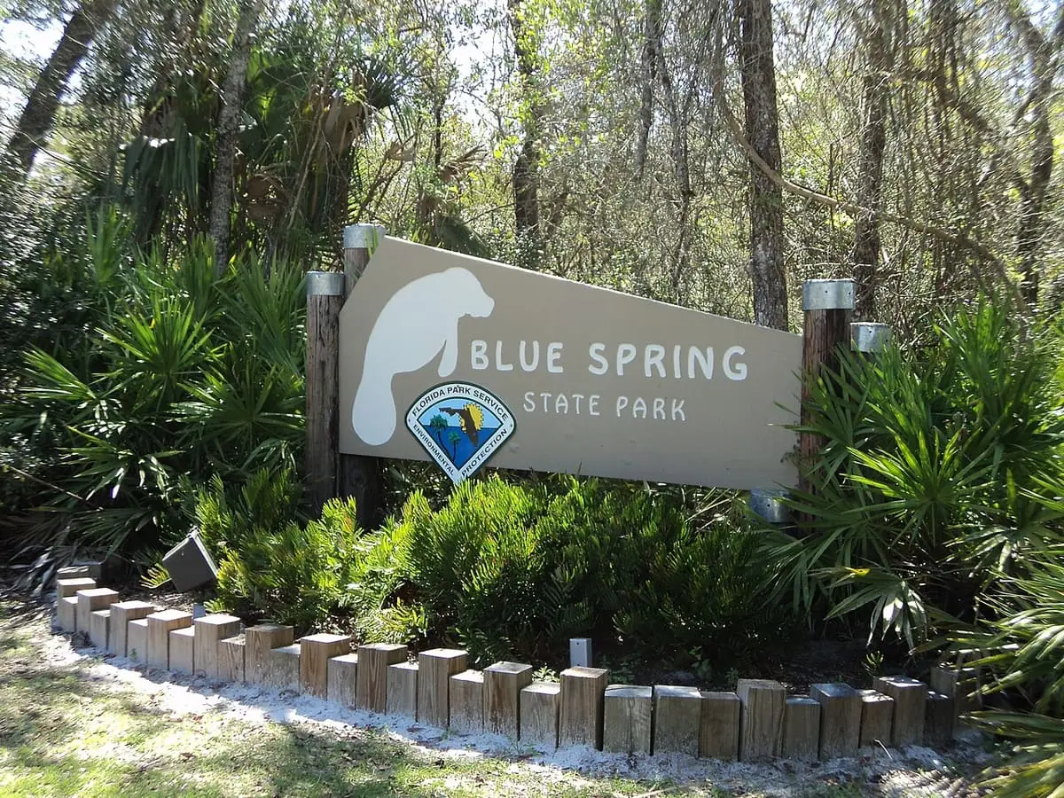 Blue Spring State Park entrance sign with manatee logo among palms and ferns