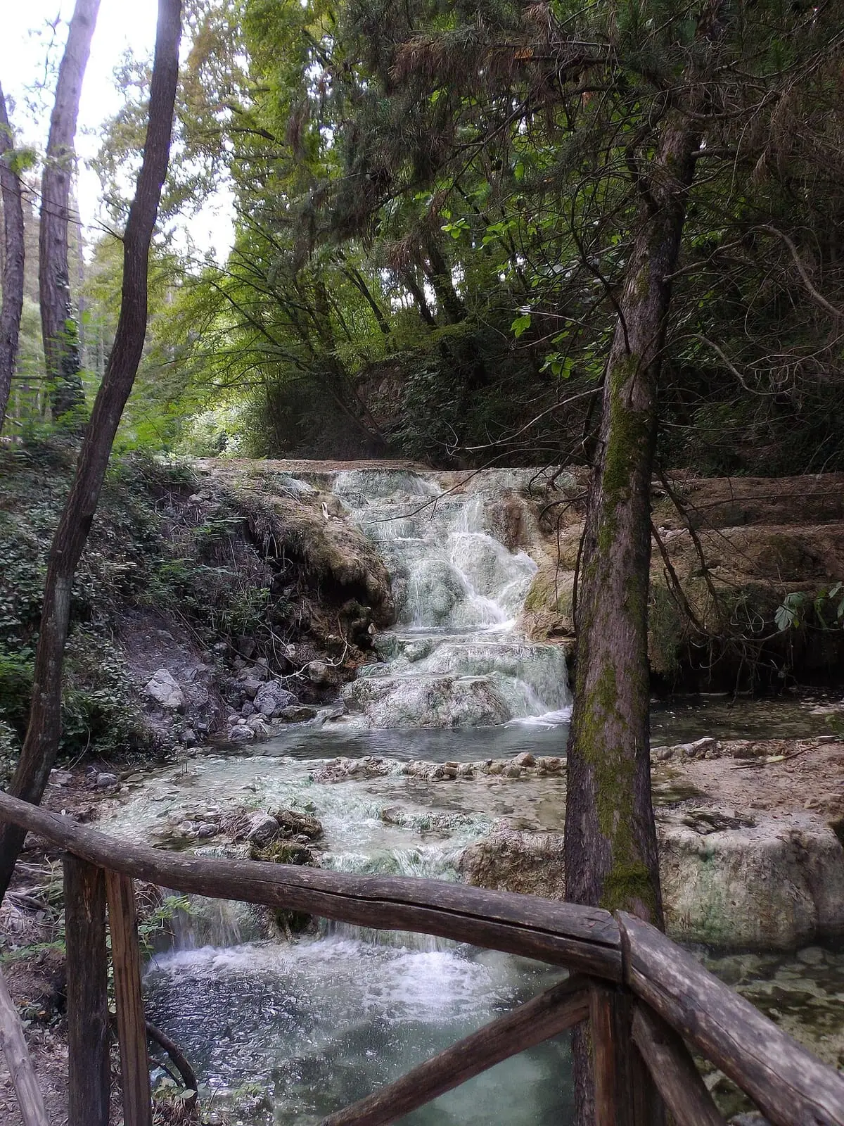 Wooden railing beside small travertine cascades in the woods of Fosso Bianco