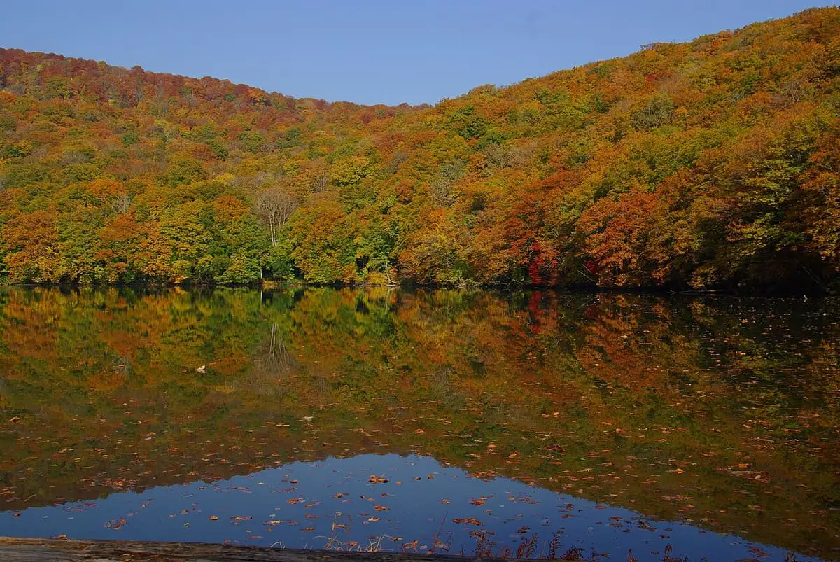 Tsuta Numa pond near Tsuta Onsen reflecting red and orange autumn forest
