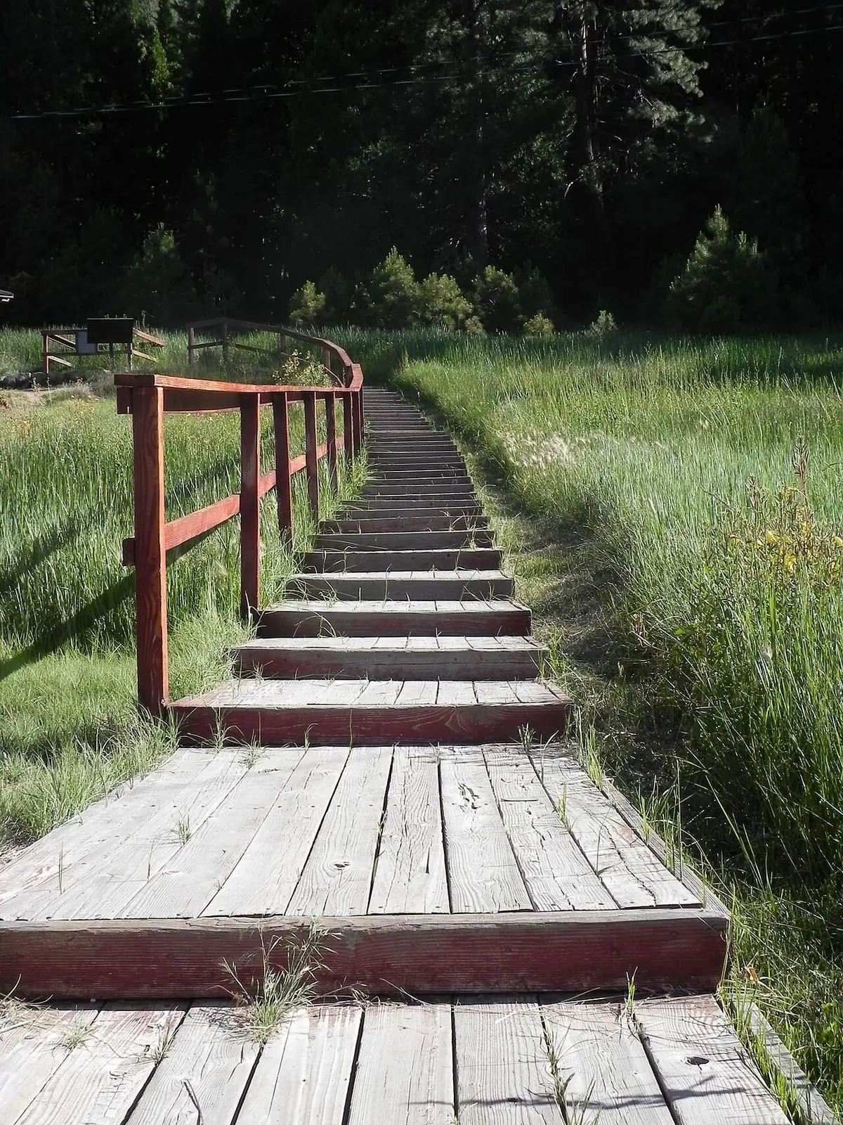 Wooden boardwalk steps crossing a grassy meadow in Grover Hot Springs State Park