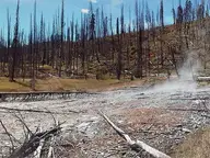 Panorama of steaming source of Vulcan Hot Springs among fire killed lodgepole pines