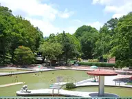 Shallow thermal water pools among shade trees at Parque Acuático Ixtapan in Ixtapan de la Sal