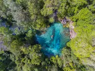 Aerial view of a round turquoise spring at Ichetucknee Springs surrounded by dense green forest