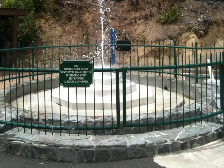 Mōkena Geyser spouting inside its fenced basin in the Te Aroha spa domain below bush covered slopes