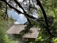Shingle roofed bathhouse at Chief Shakes Hot Springs seen through mossy branches and ferns