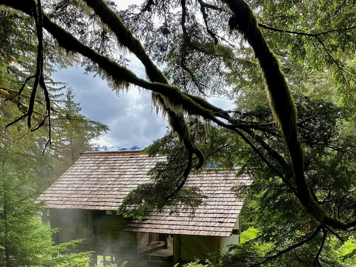 Shingle roofed bathhouse at Chief Shakes Hot Springs seen through mossy branches and ferns