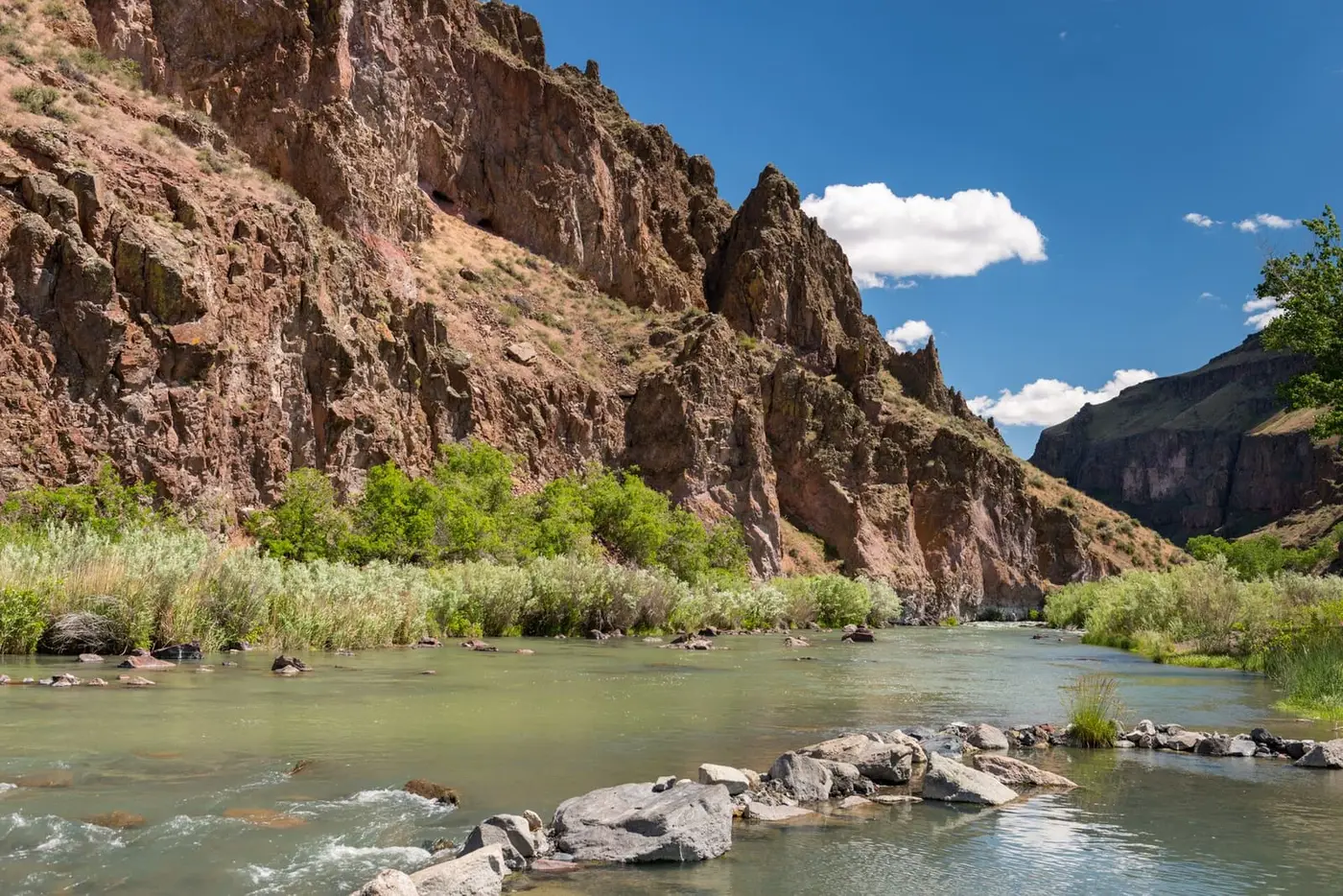 Owyhee River flowing over rocks below tall red canyon cliffs at Snively Hot Springs