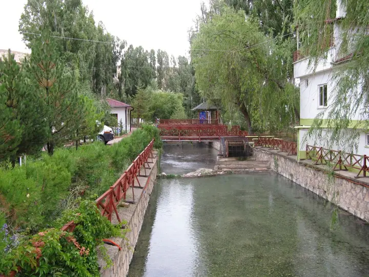 Clear spring fed channel at Balıklı Kaplıca in Kangal lined with railings and willow trees