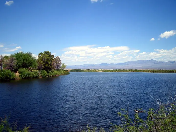 Blue water of Roper Lake near Safford with tree lined shore and distant mountains