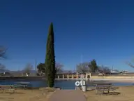 Balmorhea State Park spring fed pool with picnic tables and a tall cypress under a deep blue sky