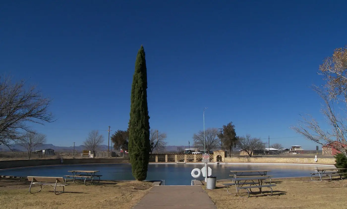 Balmorhea State Park spring fed pool with picnic tables and a tall cypress under a deep blue sky