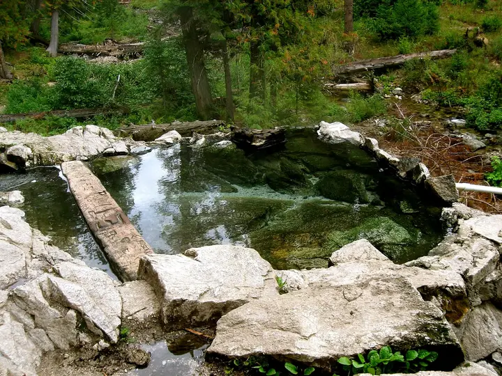 Clear rock dammed pool with a log across it in the forest at Weir Creek Hot Springs